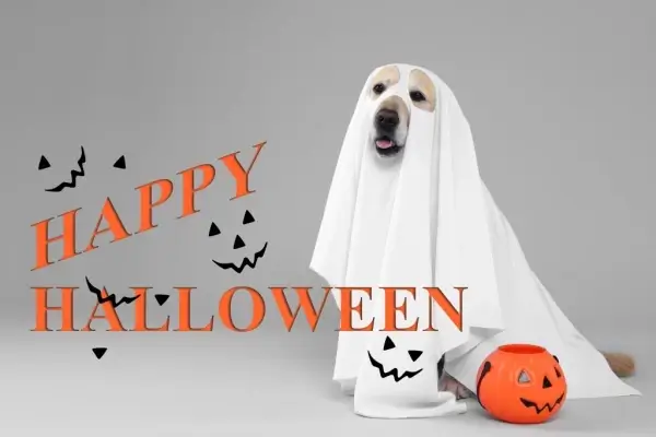 Happy Halloween from First National Mortgage